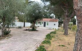 Maison plain pied au calme sur parcelle arborée